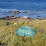 Ein Wildcamper auf einer Insel